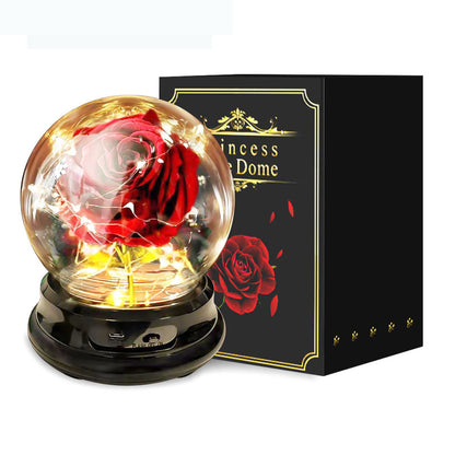 Mother Day Gift Dried Flowers Home Decor Eternal Real Rose